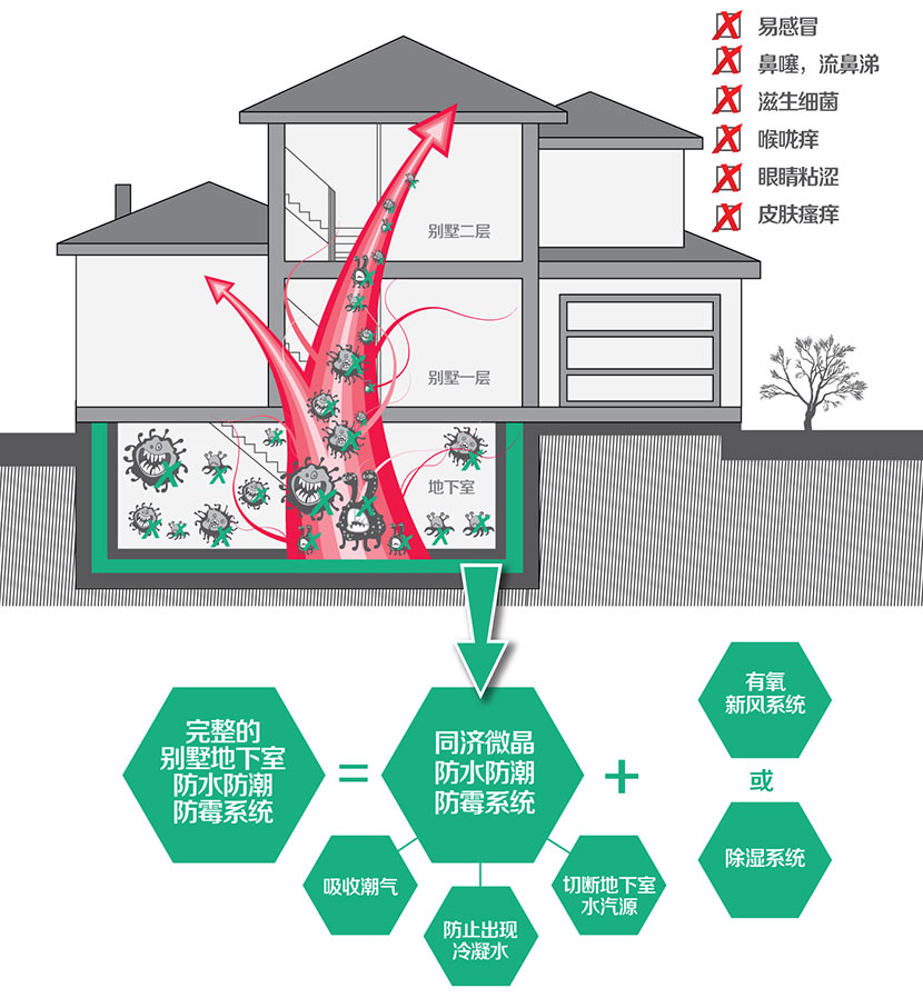纵横联盟
