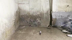 纵横联盟