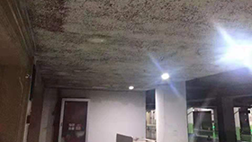 纵横联盟