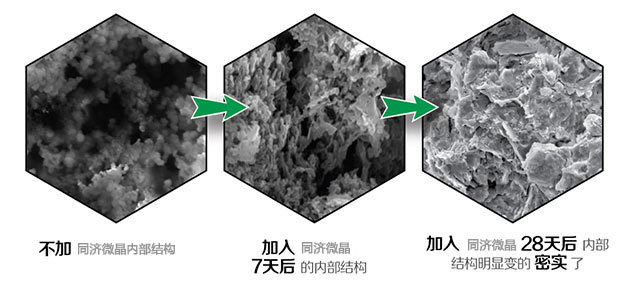 纵横联盟