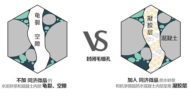 纵横联盟