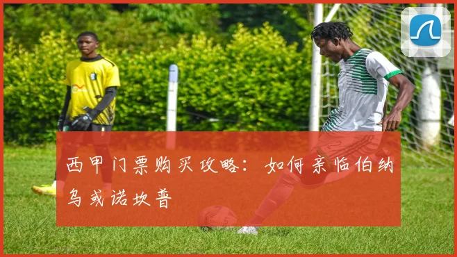 西甲门票购买攻略：如何亲临伯纳乌或诺坎普